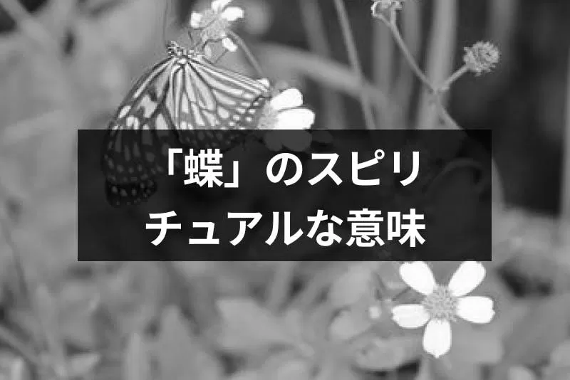 【スピリチュアルメッセージ】アゲハ蝶・クロアゲハ蝶が秘めたメッセージとは？ photo 1