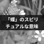 【スピリチュアルメッセージ】アゲハ蝶・クロア