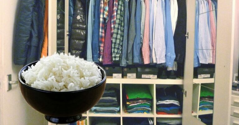 cup of rice and clothes